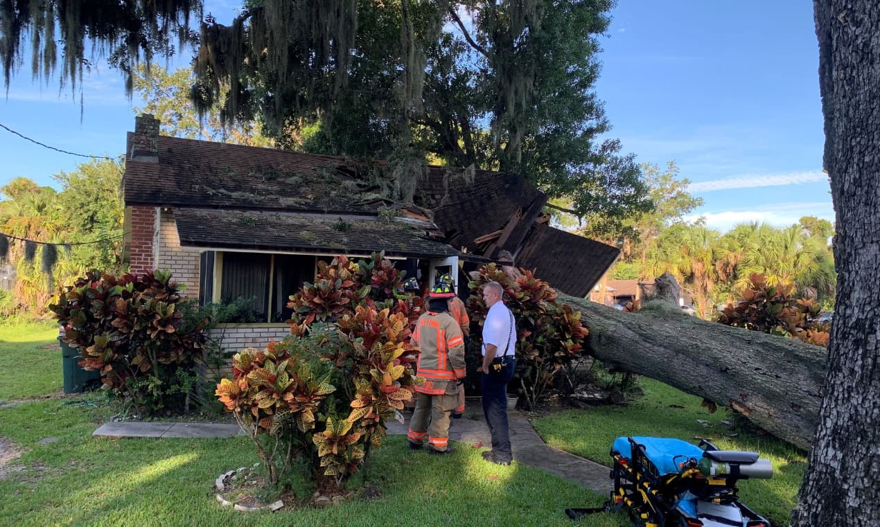 Caída de un árbol destruyó una casa en Daytona Beach 