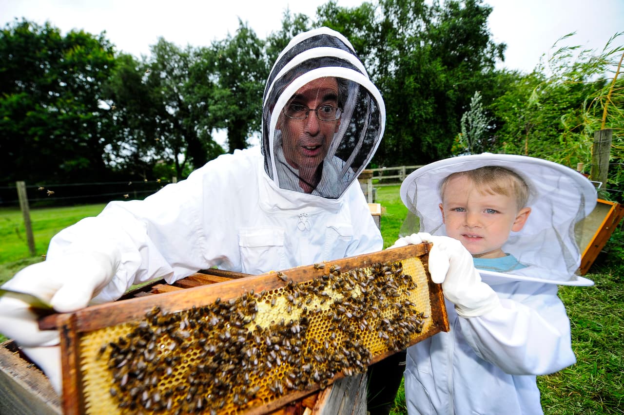 Mientras que en invierno preparan la madera que alojará a las nuevas familias de abejas. ¡Además de cuidar de la salud de los insectos!