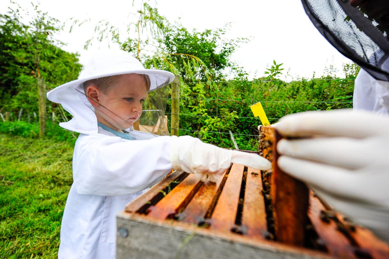 ¿Tú has sufrido de una picadura de abeja? ¿Sabes lo que se siente?