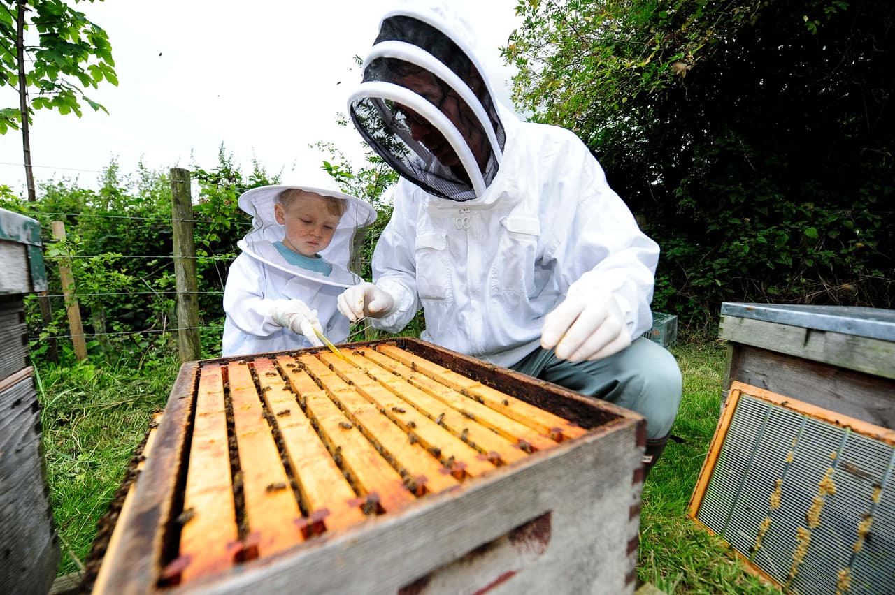 ¿Imaginas cómo sería estar frente a toda una colmena?