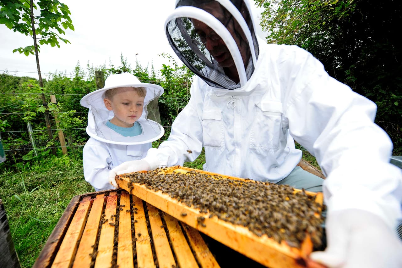 En la primavera y el verano, Ben ayuda a su abuelo a realizar trabajos de control de la población y extracción de miel.