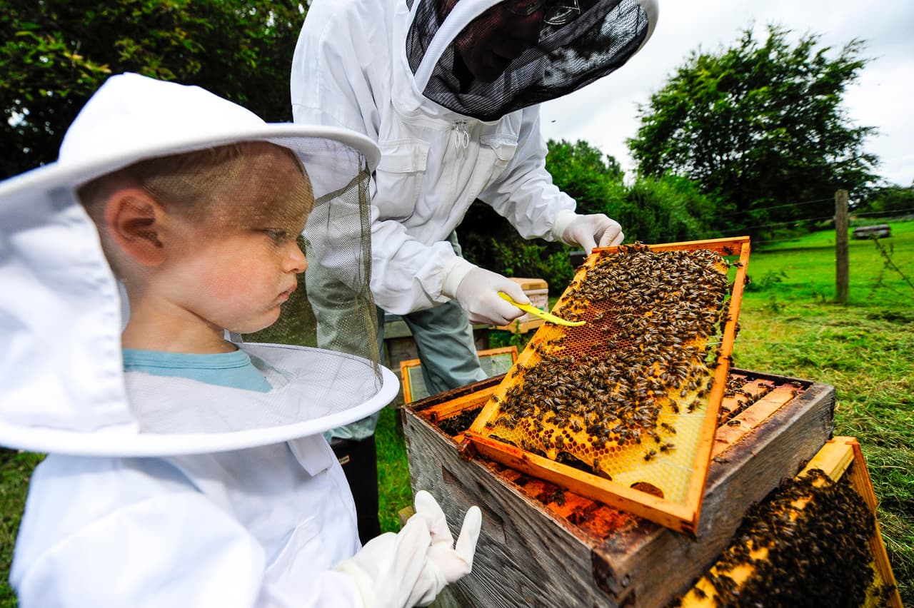 ¡Pero eso no evita que a la menor oportunidad tome su traje especial de apicultor!