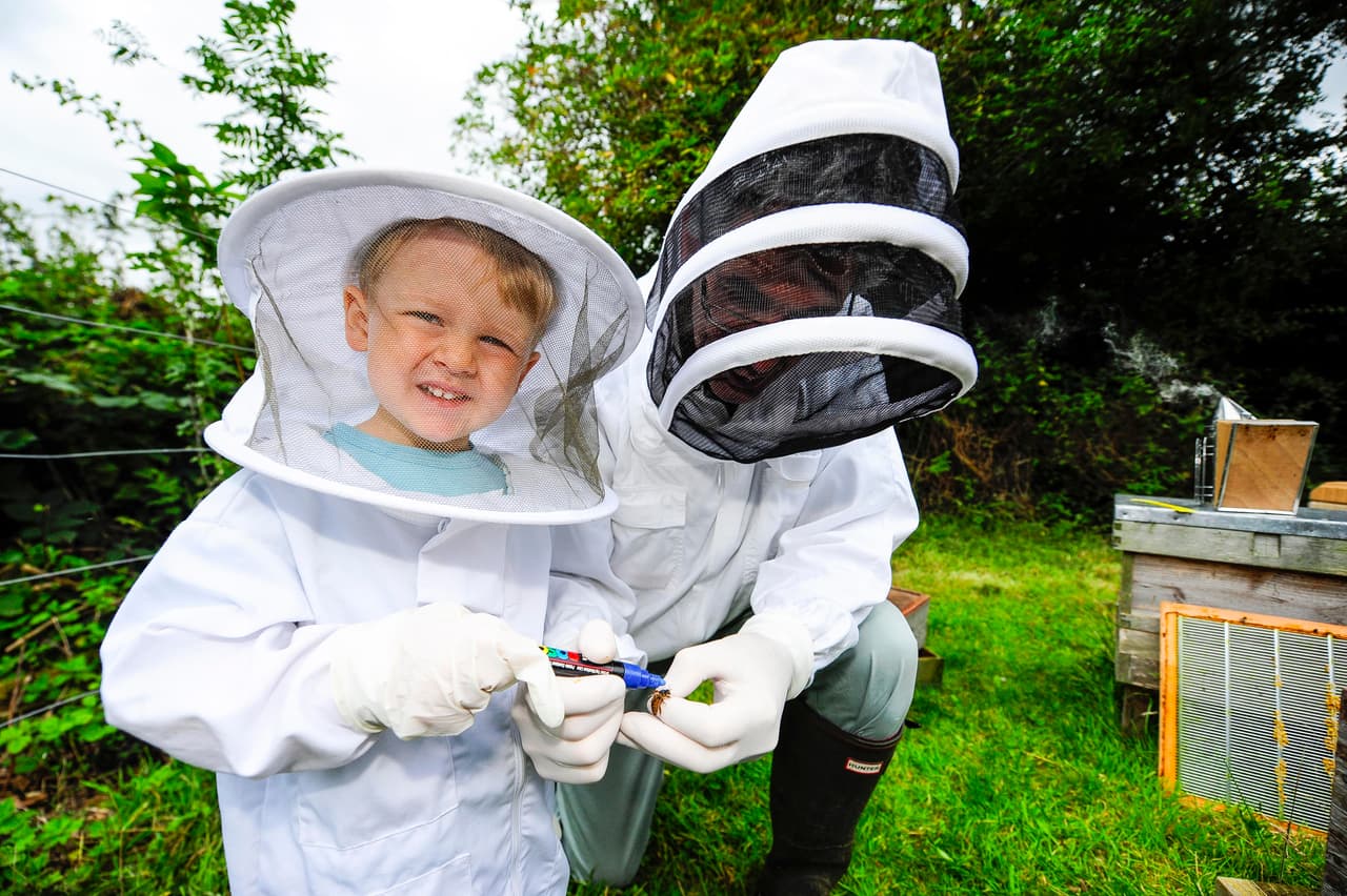 Entre los dos cuidan 10 colmenas.