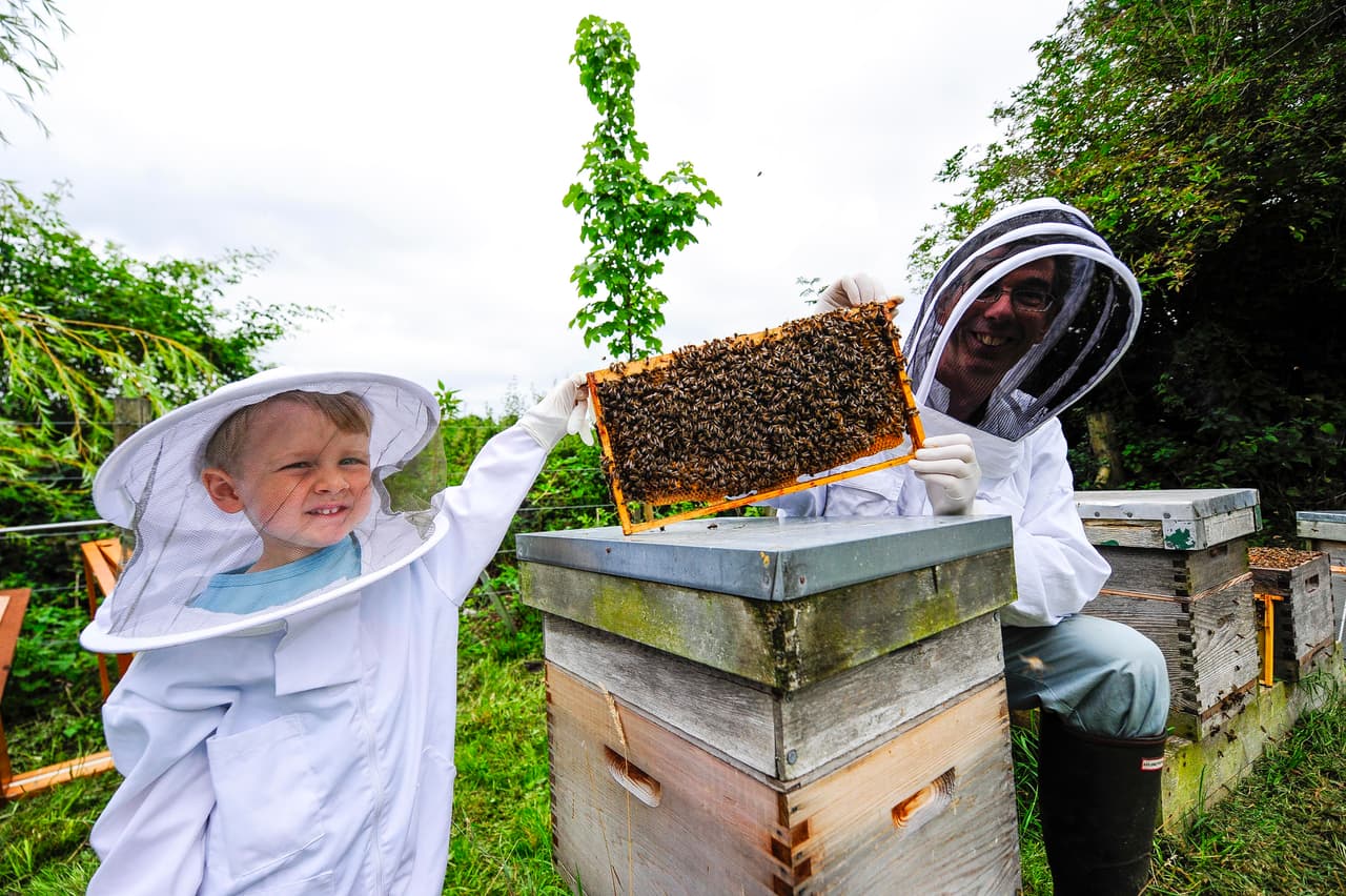 Hay quien al ver una abeja entra en pánico.