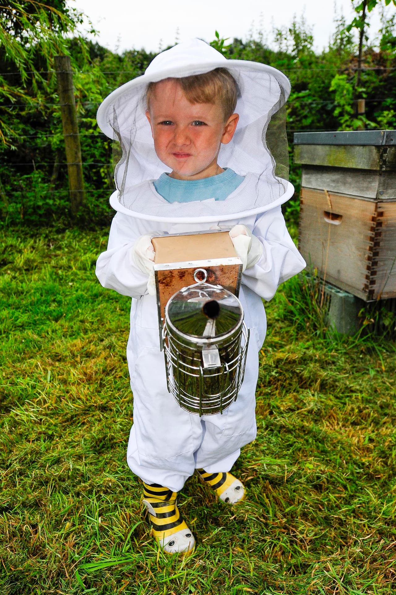 Al pequeño Ben lo han picado un par de veces.