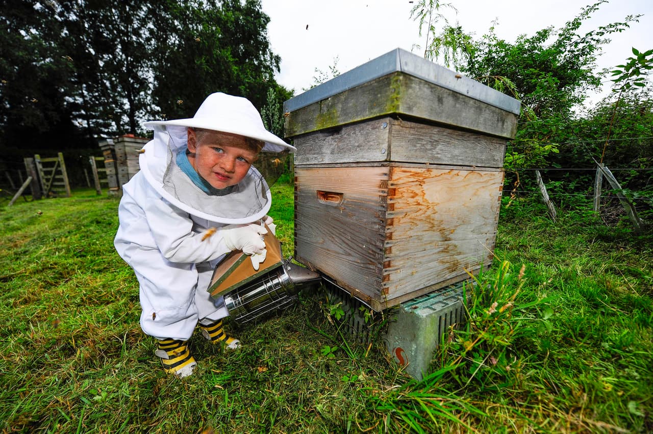 Así, juntos, pueden criarlas y tratarlas como es debido.