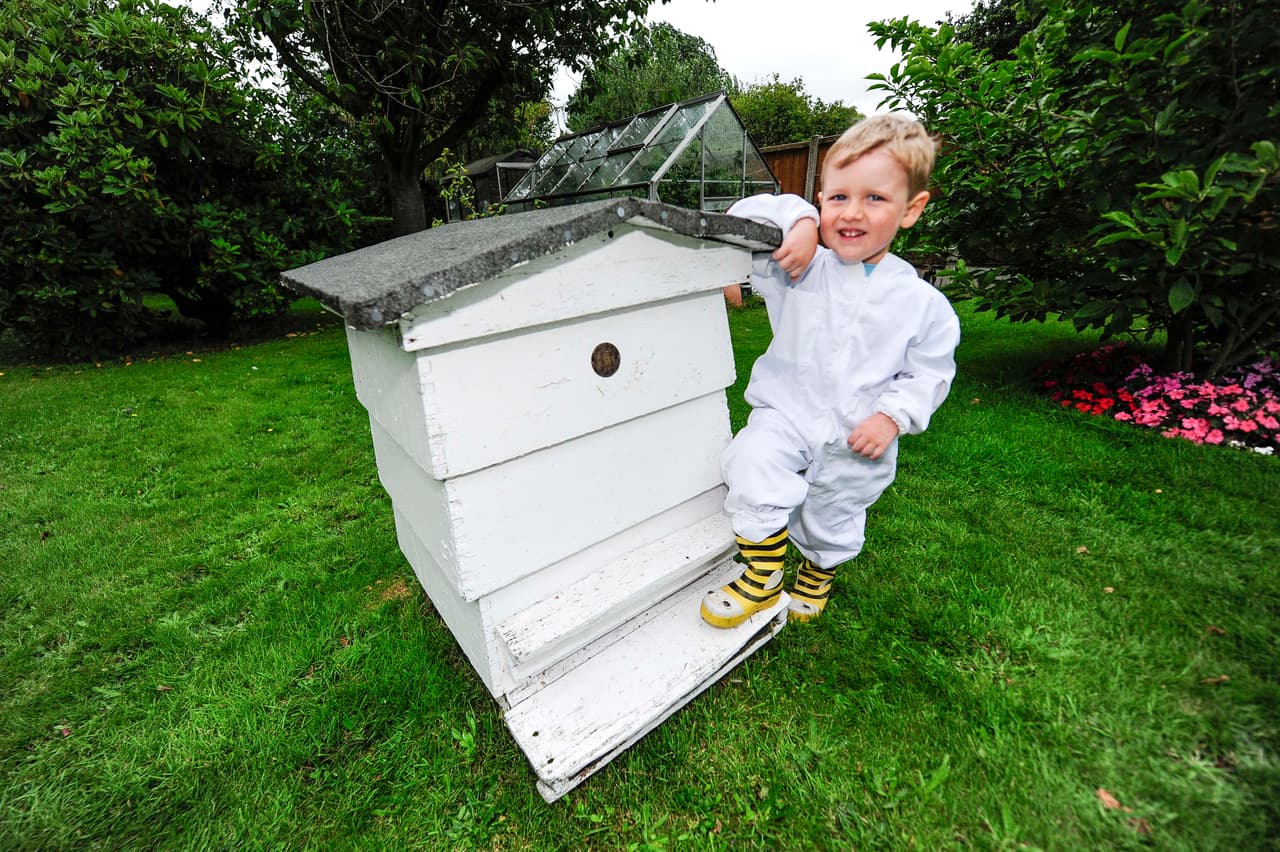 Él es probablemente el apicultor más pequeño del mundo.