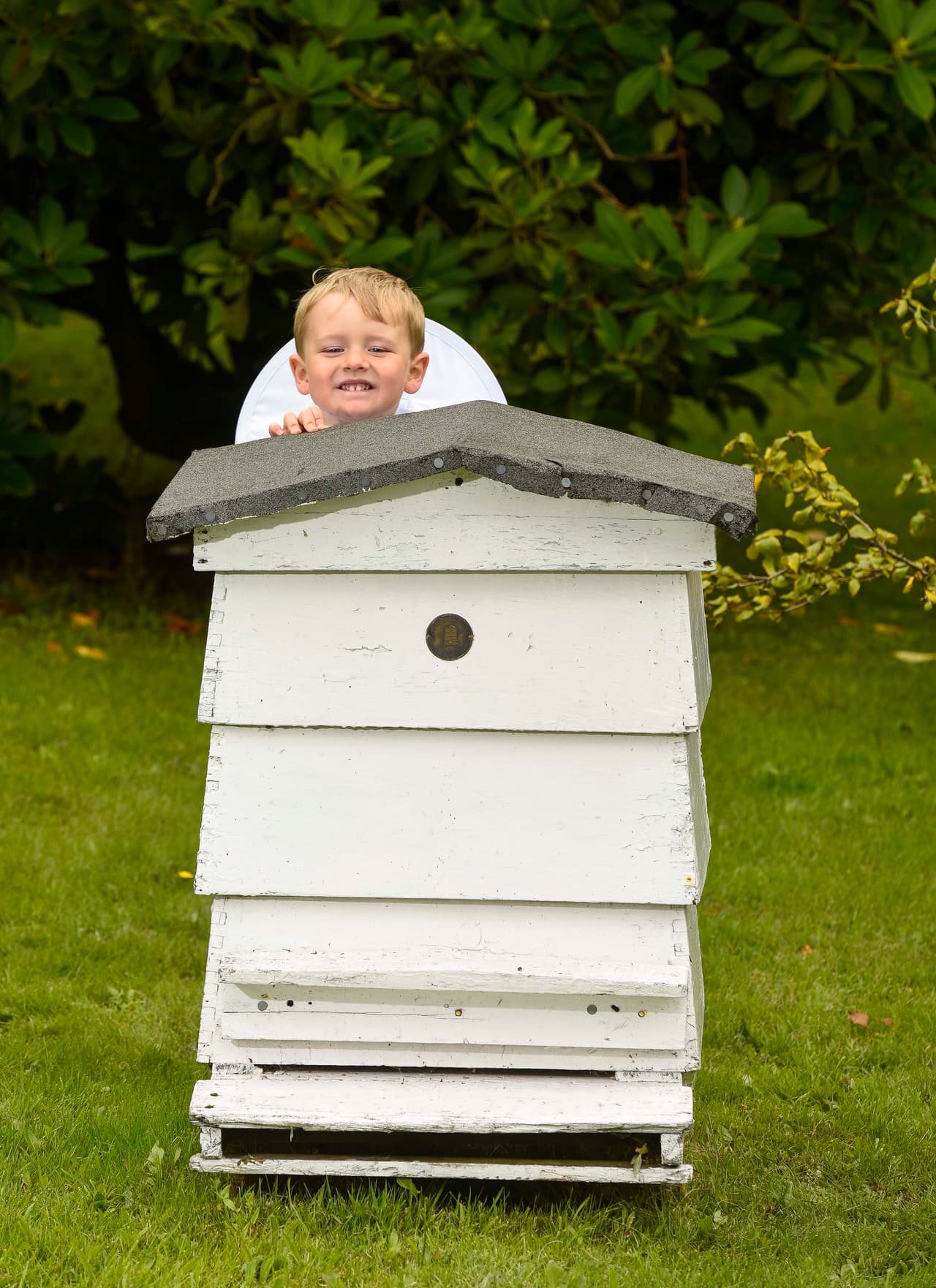 Martin Smith, su abuelito, le enseñó cómo tratar a las abejas.