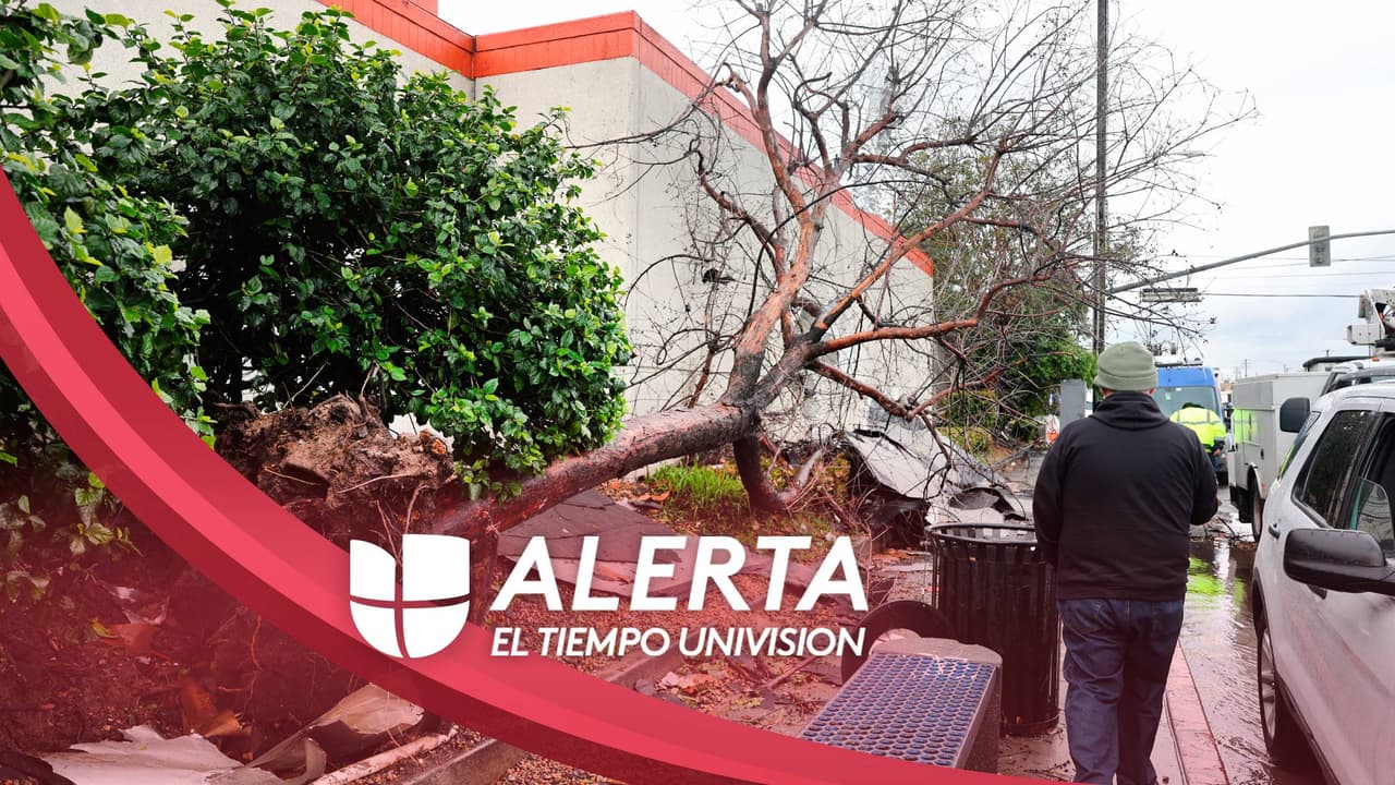 "Son cambios en el clima": lo que se sabe del inusual tornado que provocó daños en Montebello