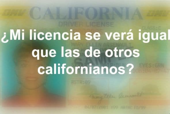 No hay símbolos o diferencias en el color o la escritura, la única diferencia es que en la parte posterior de la tarjeta cerca de la esquina inferior derecha dirá: “Esta tarjeta no es aceptable para los propósitos federales. Esta licencia se otorga únicamente como una licencia para conducir un vehículo de carretera. No establece la elegibilidad para obtener empleo, votar, o recibir beneficios públicos.”