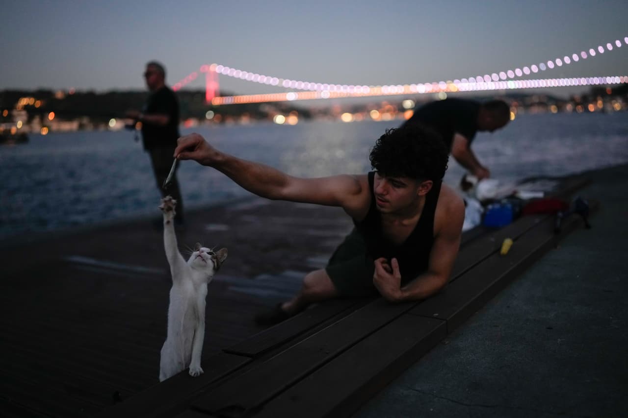 Un pescador alimenta a un gato en el paseo marítimo de Emirgan, junto al Bósforo, en Estambul, Turquía, el viernes 26 de junio de 2026. (Foto AP/Emrah Gurel)