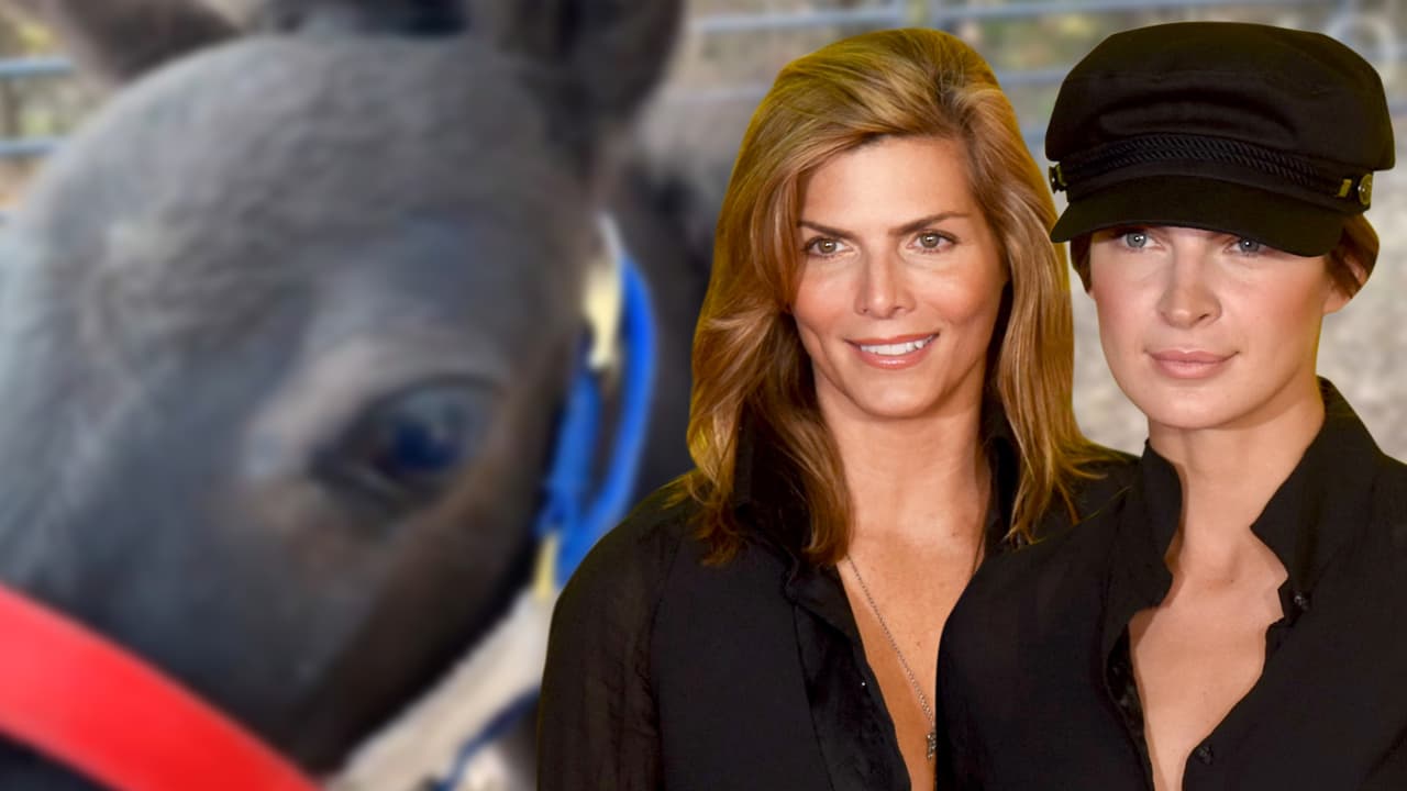 Montserrat Oliver regaló a su novia los caballos que tanto quería, y que no podrá montar