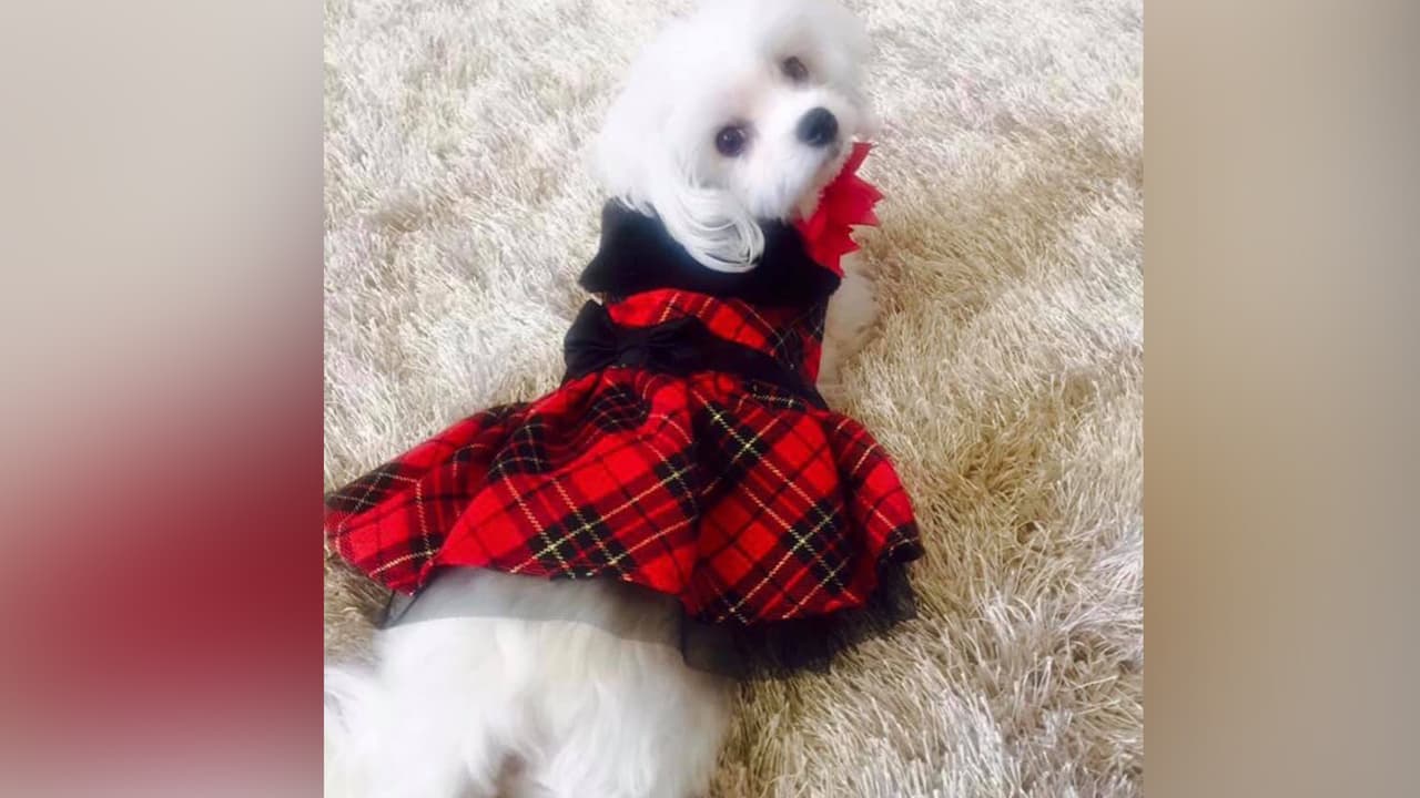 Lily Lozano - "Mi Mossa hermosa 💕. De Cypress Texas".