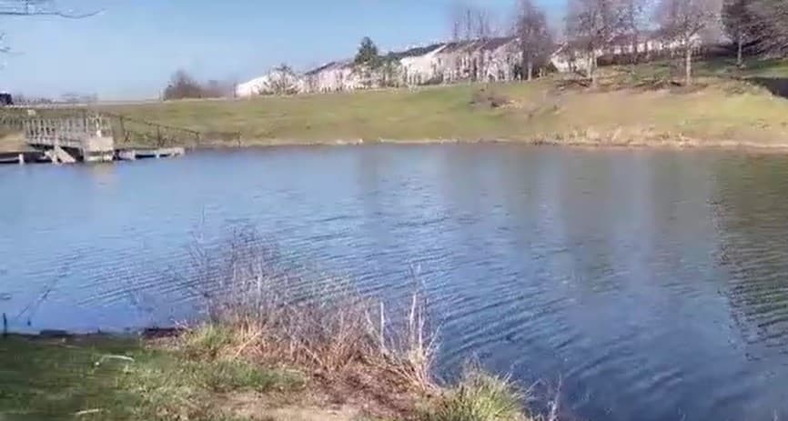 Autoridades investigan tras el hallazgo de un feto sin vida en un estanque en Leesburg