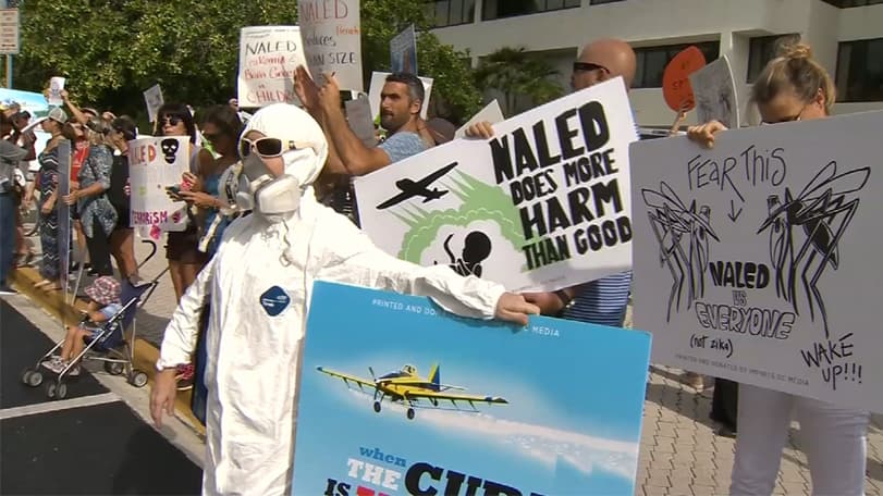 Protestan en Miami Beach por fumigación aérea con pesticida Naled contra zika