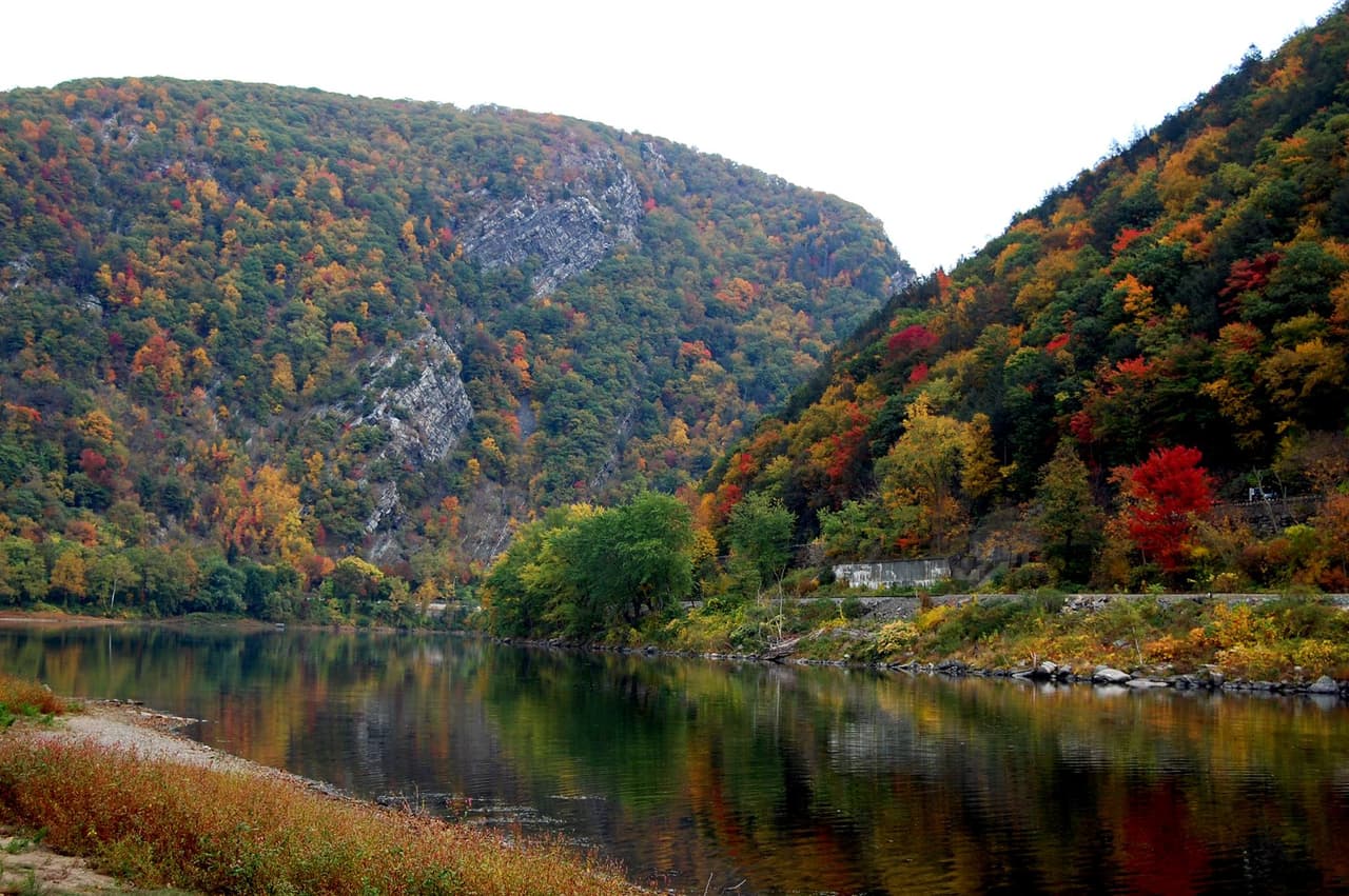 <a href="https://www.dcnr.pa.gov/StateParks/FindAPark/BigPoconoStatePark/Pages/default.aspx"><b>Big Pocono State Park</b></a>. Big Pocono State Park, ubicado en la cima de Camelback Mountain, alberga vistas impresionantes en la temporada de otoño a pie o en automóvil. El mejor lugar para ver el follaje es en la cumbre del parque, donde un mirador panorámico ofrece vistas a millas de la popular Área Recreativa Nacional Delaware Water Gap y más allá.
<br>
<br>
<a href="https://goo.gl/maps/5rKr6cMvNmrHQ8ua7"><b>Cómo llegar</b></a>