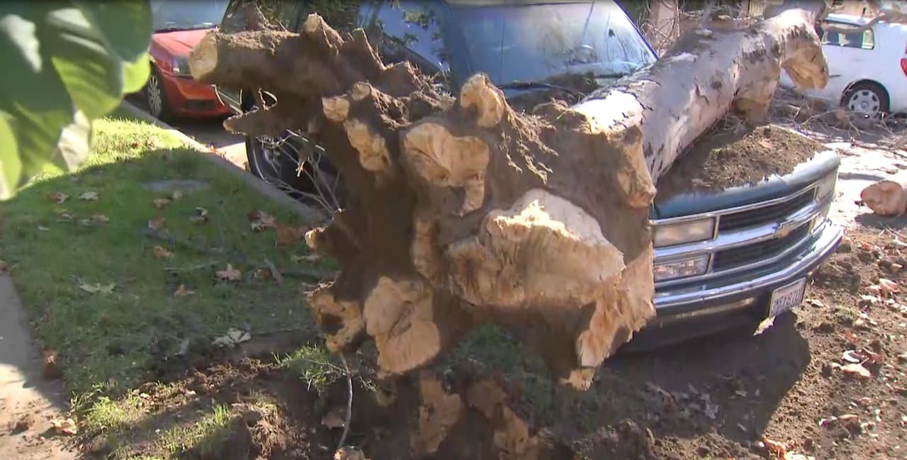 Los vecinos de la cuadra la cuadra 14500 de la calle Vose en el área de Van Nuys no creían los ensordecedores ruidos del viento y el gran estruendo que perturbó la tranquilidad del vecindario este domingo.