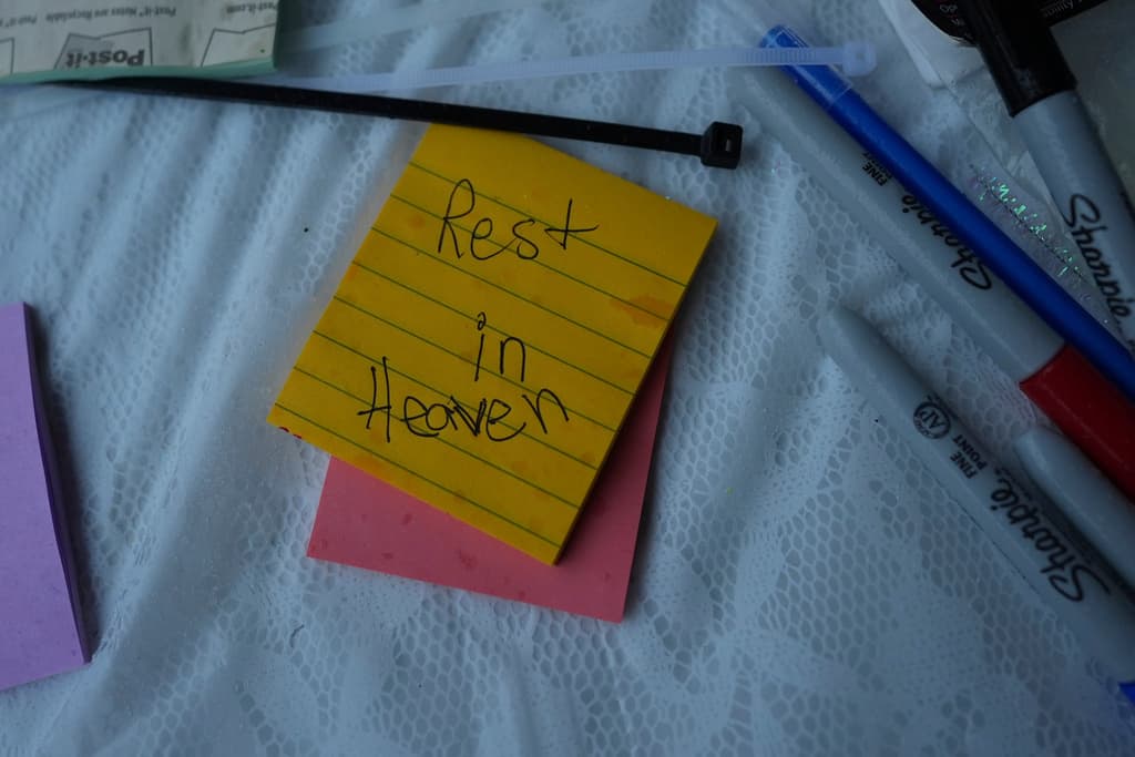 <b>"Descansa en el cielo" </b>lee este 'post it', uno de los cientos que distintas personas han dejado en la obra orgánica, en tributo a las víctimas, a orillas del río Guadalupe.