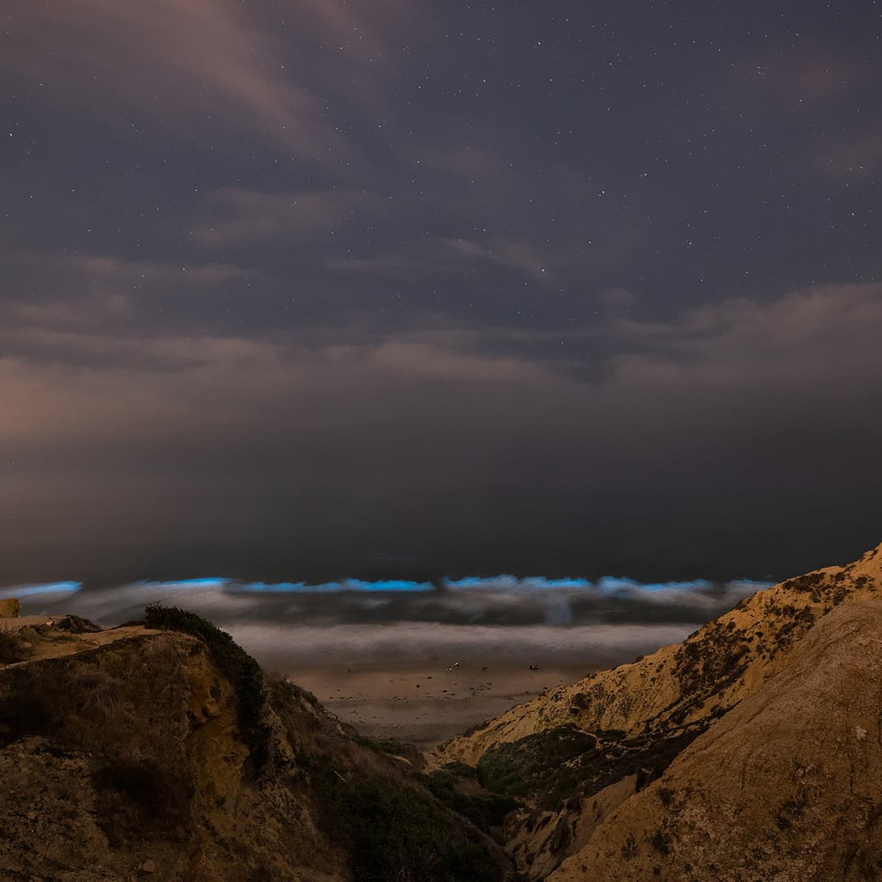 "¡Bioluminiscencia iluminando las aguas de San Diego nuevamente anoche! La naturaleza es muy impresionante", dijo el autor de esta fotografía en su publicación de Twitter el 10 de mayo.