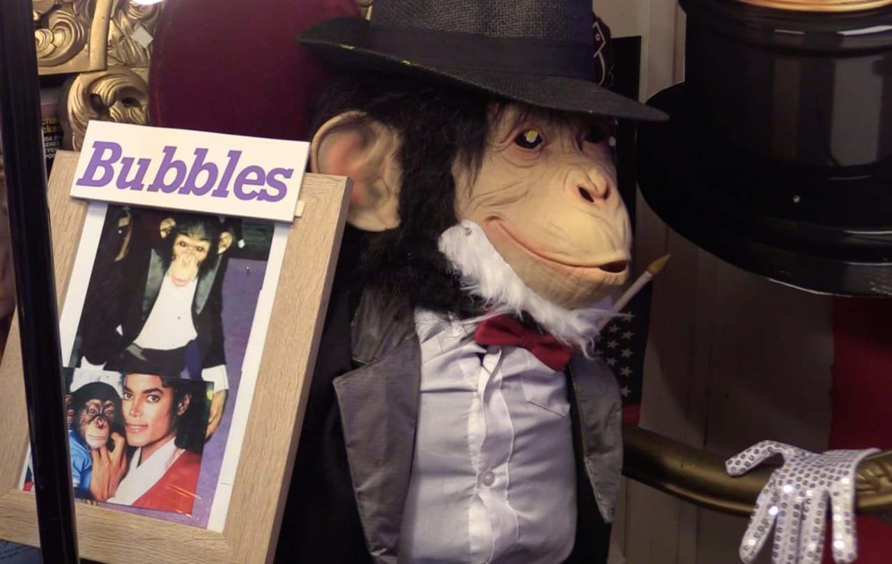 Jackson fue dueño de un mono llamado Bubbles. Según Cruz, el primate fue el causante de una enemistad entre Michael y Freddie Mercury.