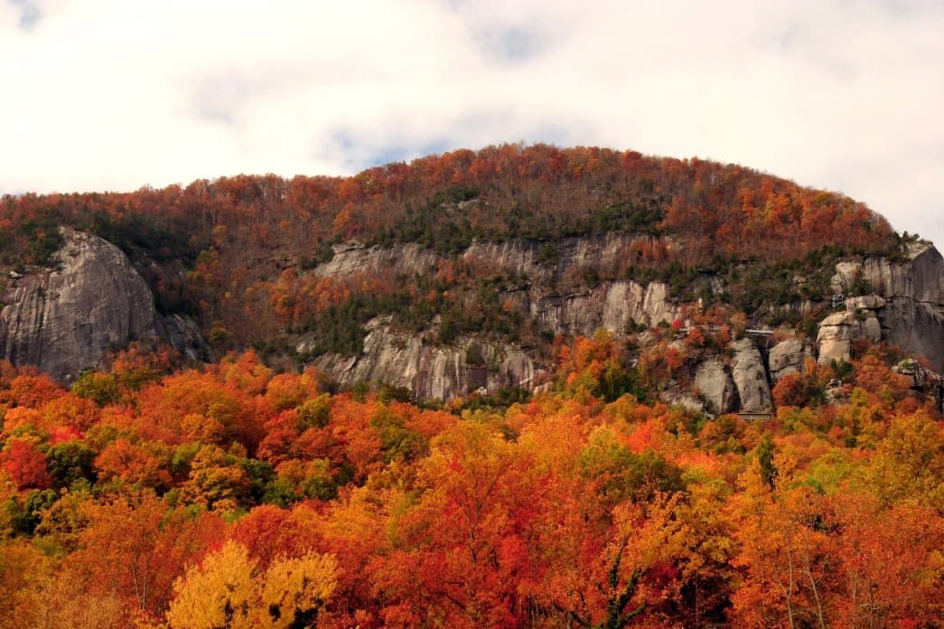 <b><a href="https://www.univision.com/local/north-carolina-wuvc/mejores-fechas-para-ver-el-cambio-de-color-de-las-hojas-en-carolina-del-norte-en-otono-2022-fotos">RELACIONADO: Llegó el otoño: estas son las mejores fechas para ver el cambio de color de las hojas en Carolina del Norte</a></b>