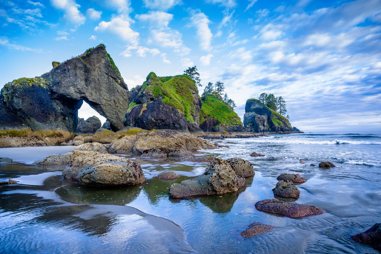 <h3 class="cms-H3-H3">3. Olympic National Park, Washington </h3>
<br>
<br>Con casi 1 millón de acres para explorar, este parque ofrece inmejorables vistas panorámicas de montañas y selvas tropicales templadas 
<b>donde la pesca, la exploración y el senderismo son las actividades reinas</b>, mientras se pueden observar animales salvajes como alces, osos negros, águilas calvas y otras especies de ballenas mientras recorren el parque.