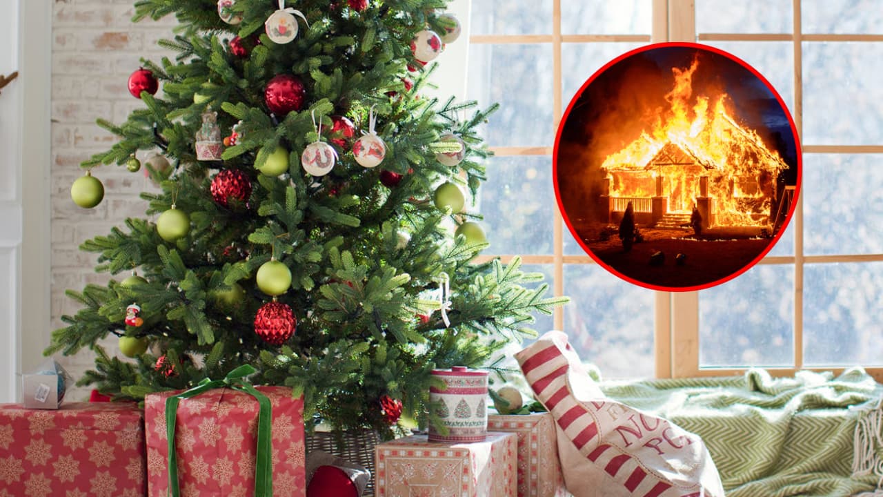 Recomendaciones para evitar que tu árbol de Navidad se incendie