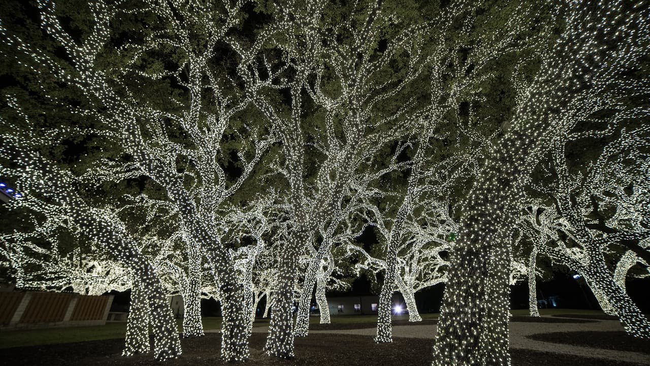 <b><a href="https://www.univision.com/local/austin-kakw/puedes-tomarte-fotos-en-este-bosque-magico-con-millones-de-luces-cerca-de-austin">PEC’s Lights Spectacular </a></b>
<br>
<b>Ubicación: </b>101 W Pecan Dr, Johnson City, TX 78636 
<br>Esta ciudad cuenta con la pantalla de luces más grande de Texas. 
<a href="https://www.univision.com/local/austin-kakw/este-es-el-bosque-magico-alumbrado-con-millones-de-luces-en-johnson-city-fotos">El espectáculo es gratuito y abierto a toda la familia.</a> Estará disponible desde el 29 de noviembre hasta el 5 de enero.