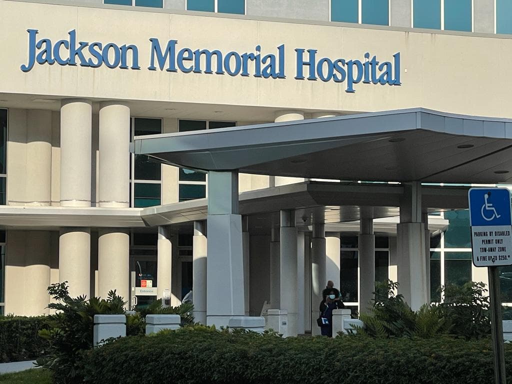 Muere bebé de dos años atropellado junto a sus padres en Miami-Dade: buscan al chofer que se fugó