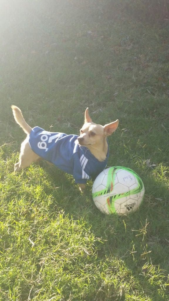 "Mi Apuesto Principe Papita a sus 8 Años de edad 😍😄" Brenda Fermín