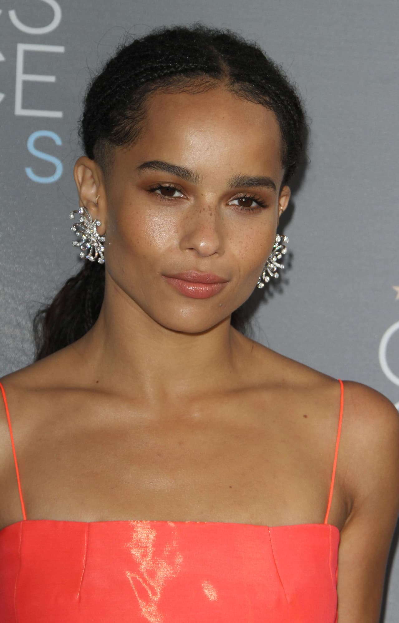 La hija del músico 
<b>Lenny Kravitz</b> y la actriz 
<b>Lisa Bonet</b>, se llama 
<b>Zoe Isabella Kravit</b>z y ha modelado en revistas de moda como French Jalouse, Zine Venus y Elle.