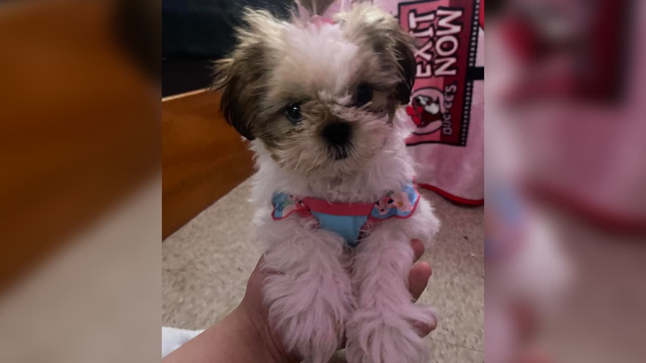 Este día se celebra en EEUU desde el 2006.