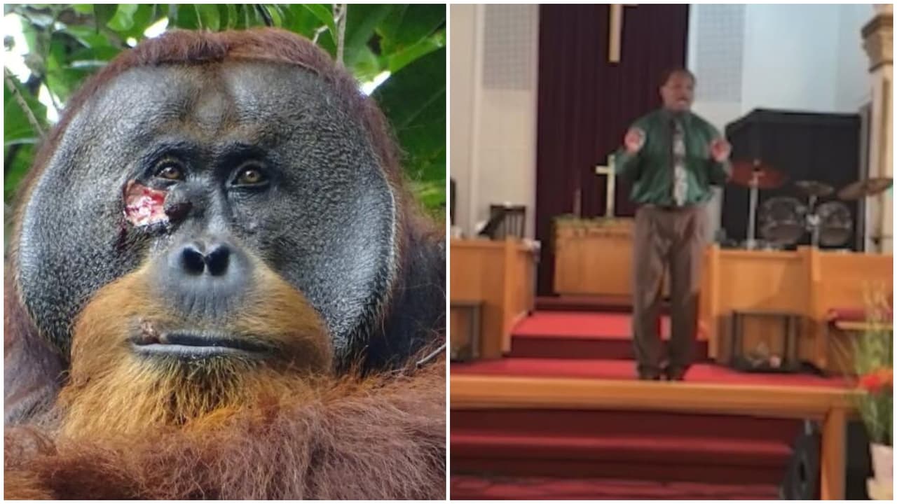 La semana en video: graban a un hombre tratando de balear a un pastor, Miss USA renuncia y polémica de obispo mexicano