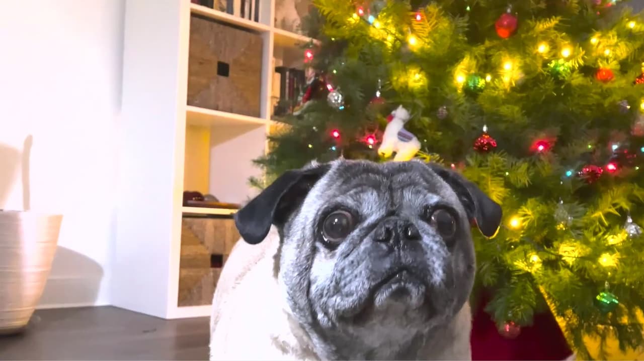 Cinco consejos para hacer compras inteligentes durante Navidad