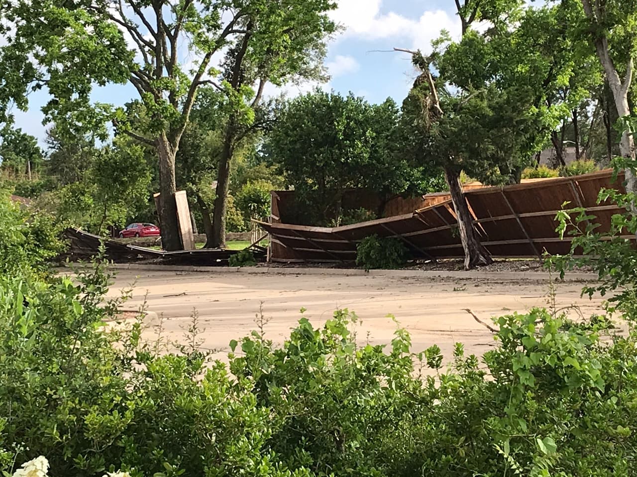También se reportaron árboles caídos.