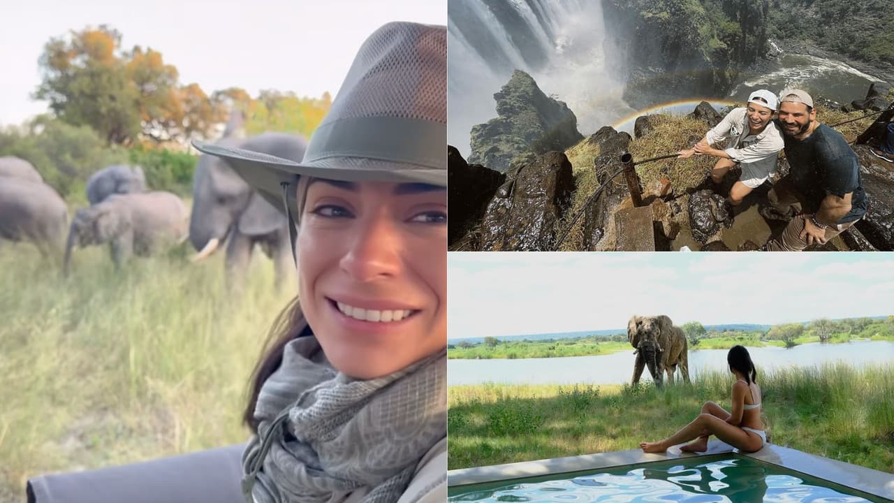 Ana Brenda Contreras convivió con elefantes durante su luna de miel.