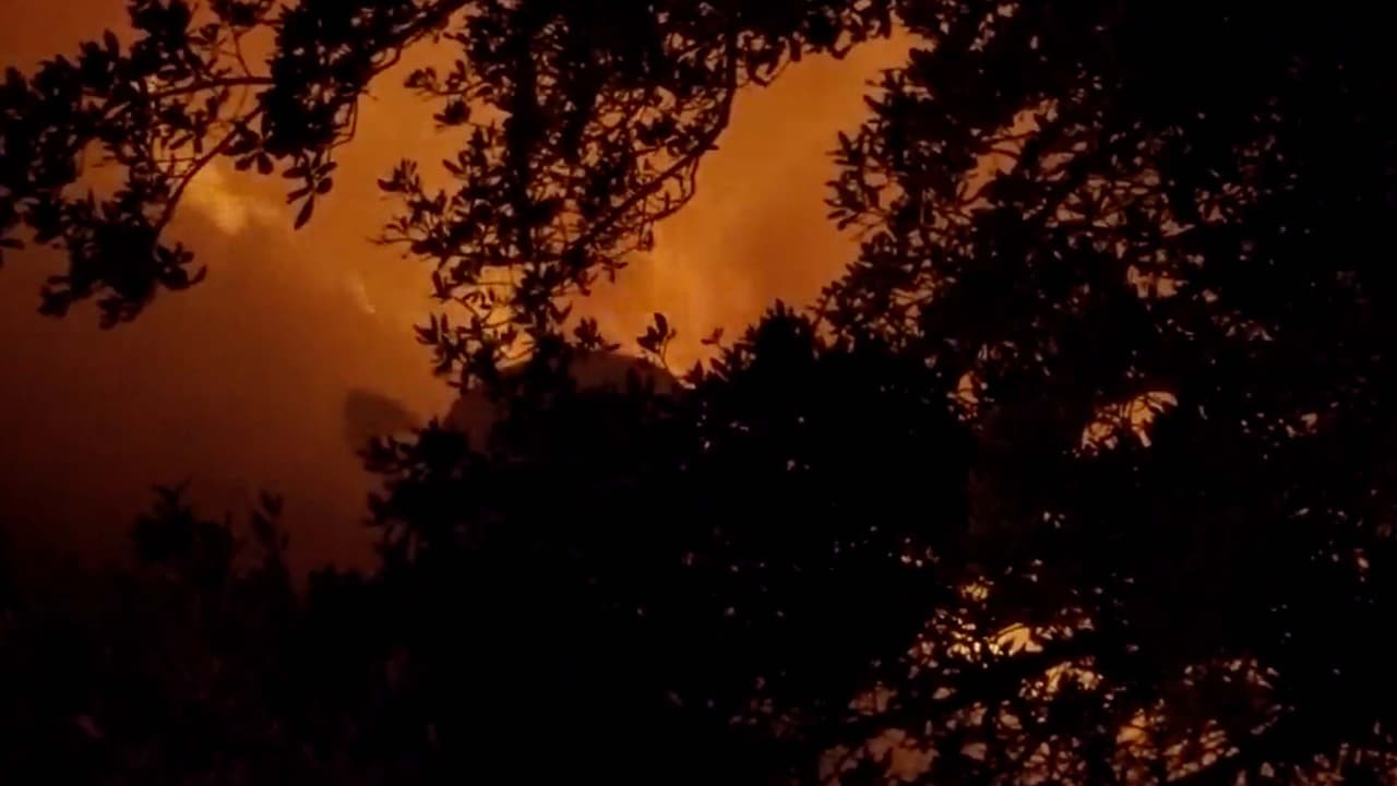 La mujer fue hallada en un baño junto a una recámara en el primer piso, fue declarada muerta en la escena.