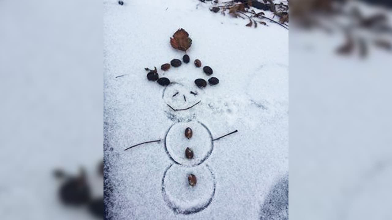 Enviada por el usuario de Facebook Enrique Medellín.