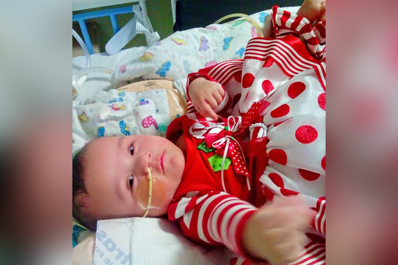 Ximena Hernández Torres.