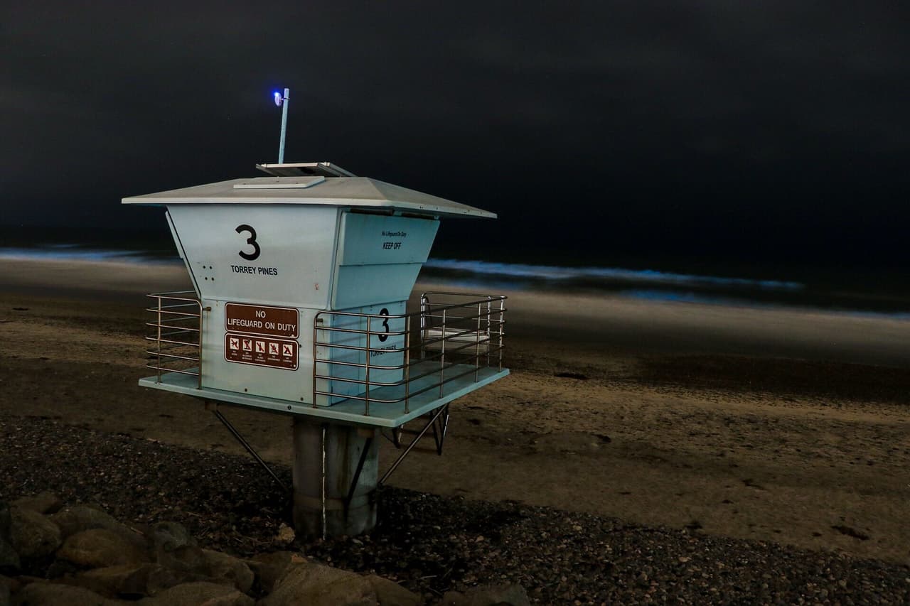 La aparición más larga en el sur de California se registró en octubre de 2011, cuando duró un mes. En septiembre de 2013 perduró una semana y en mayo de 2018 también fueron vistas por el mismo período.