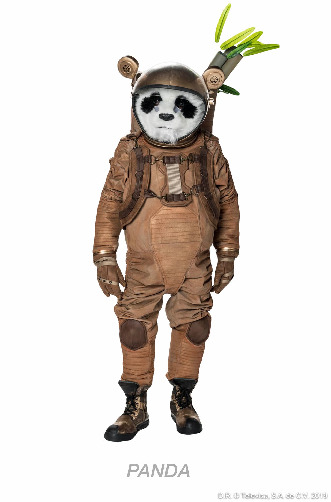 Este Panda lleno de ternura y con sus ramitas de bambú, tampoco fue muy afortunado en el segundo show.