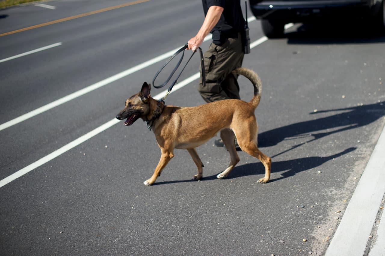 "Daremos detalles más tarde, pero hoy le estamos honrando a él y a todos nuestros K-9 y a los adiestradores", dijo el Jefe de Policía de Houston, Troy Finner
<br>