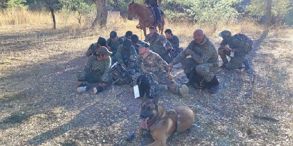 Un equipo K9 de la estación de Nogales y agentes de la patrulla a caballo trabajaron juntos para detener a 10 ciudadanos mexicanos y tres ciudadanos guatemaltecos. El grupo fue detectado inicialmente por tecnología fronteriza en un terreno accidentado al oeste de Nogales.