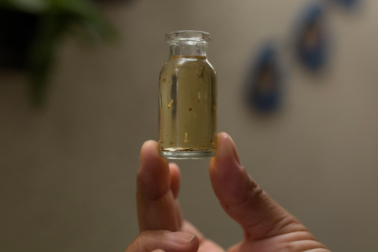 Puerto Rico ya tiene 33,455 casos confirmados de zika