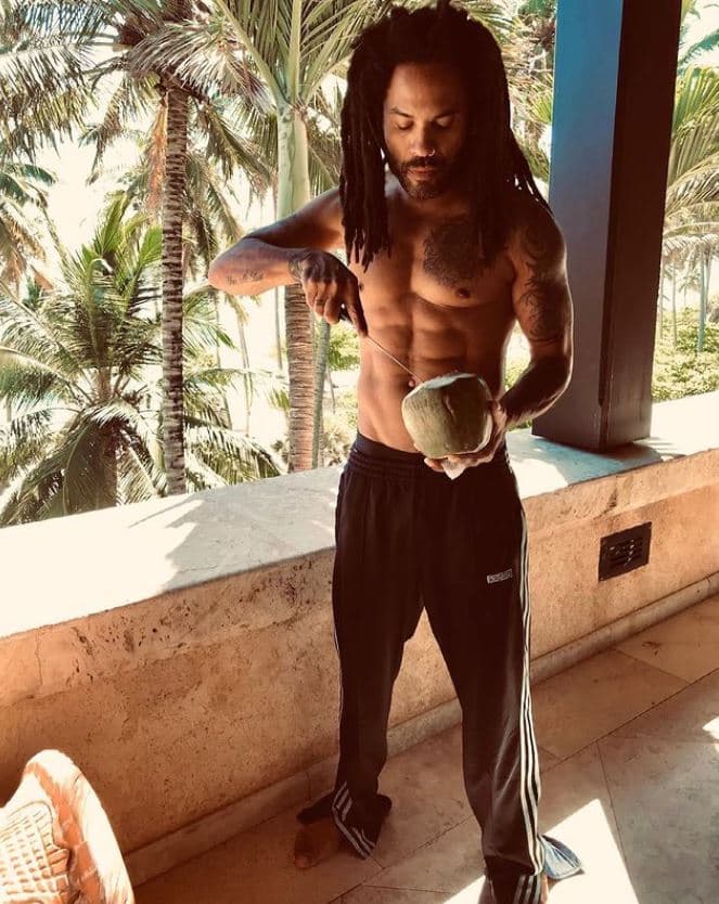 No obstante, su semblante joven y atlético físico nos hacen creer que Kravitz fácilmente podría estar en sus cuarenta.