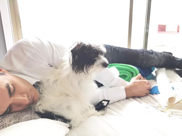 Este pequeñín peludo se llama 'Justino', es su compañero de siestas. ¿No se ven lindos?