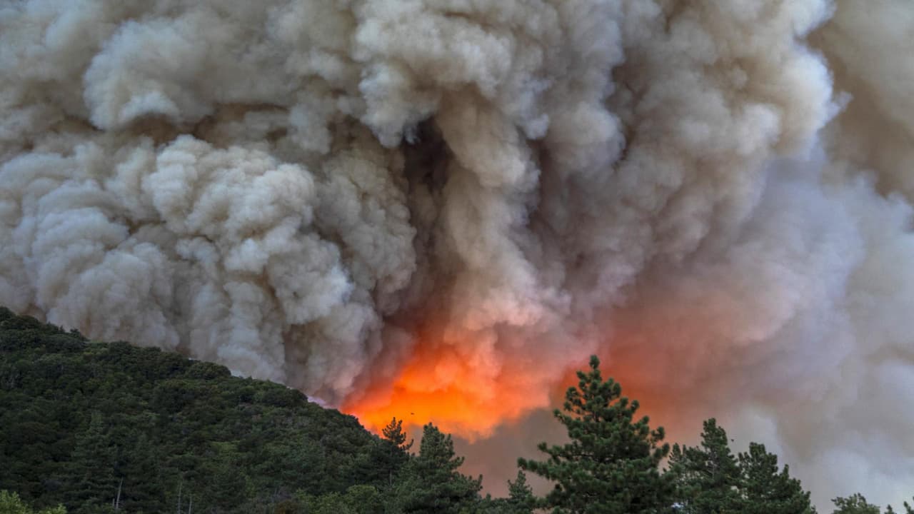 Estudio revela cuáles son los elementos tóxicos del humo de los incendios que pueden perjudicar tu salud