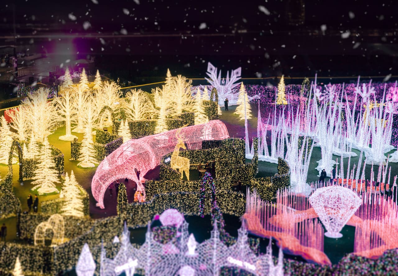 <h3 class="cms-H3-H3">Classic Christmas San Antonio</h3>
<br>
<br>
<b>Dónde:</b> Toyota Field, 106 David Edwards Drive
<br>
<b>Cuándo: </b>Del 22 de noviembre al 29 de diciembre
<br>De los creadores del reconocido laberinto de luz de navidad más grande del mundo, llega esta celebración inmersiva de luz con más de 55 mil metros cuadrados de luces navideñas, esculturas iluminadas, patinaje en hielo, resbaladilla de nieve y la presencia de Santa Claus y la Señora Claus.