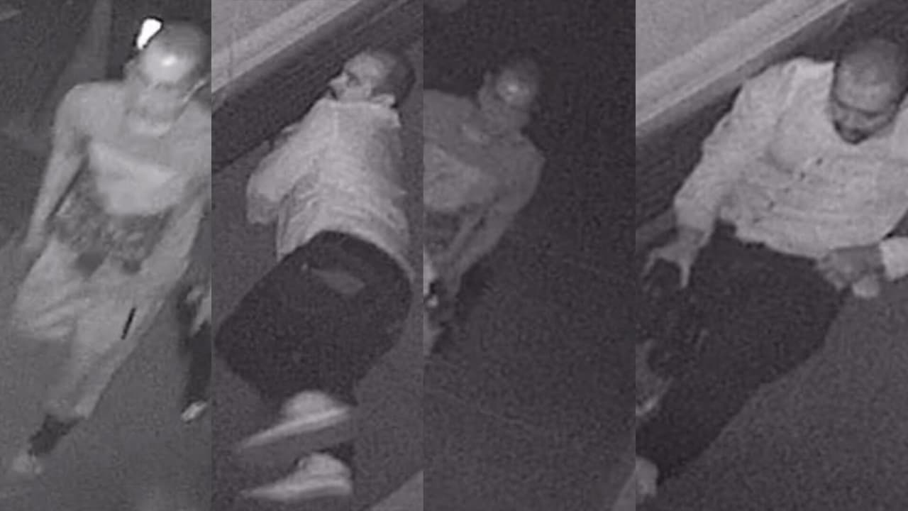 Buscan a sospechosos de robo de convertidores catalíticos en la UA