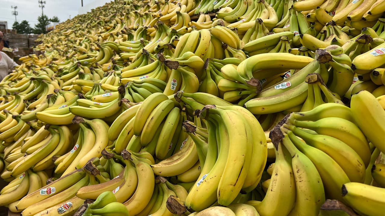 La muestra
<b> “Banana Bonanza” </b>fue encabezada por la tienda 
<b>Jewel-Osco</b>, ubicada en 
<b>East Ogden Ave.</b>